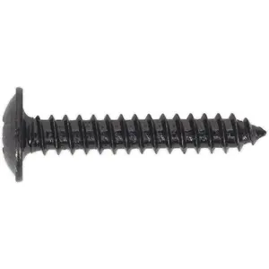 100 Pack of 4.2 x 25mm Self Tapping Black Screws with Flanged Pozi Head