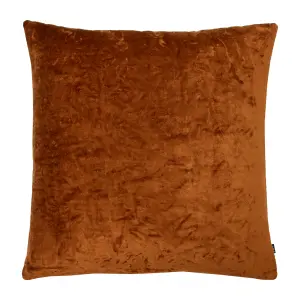 Ashley Wilde Kassaro Velvet Feather Filled Cushion