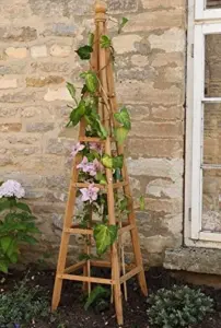 Large Garden Wooden Obelisk Arch Heavy Duty Strong For Roses Climbing Plants