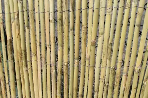 Bamboo Garden Screening Fencing Rolls 1.2M Tall and 3.8M Long