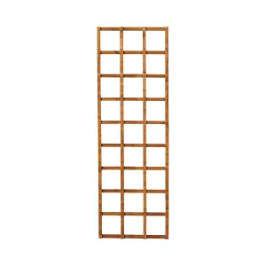 Forest Garden 6ft Square European softwood Trellis panel (W)60cm x (H)183cm