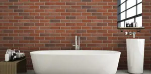 Ibstock Brunswick Antique Red Brick 65mm Mini Pack 250