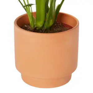 Verve Monstera Terracotta Decorative pot 13cm