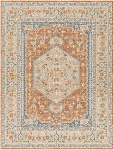 BOKA Machine Washable Vintage Area Rug 160 x 213 cm