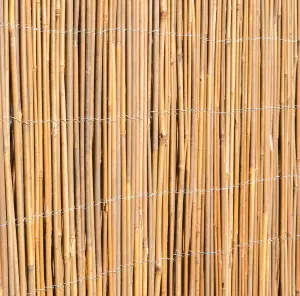 Bamboo Cane Screening Roll Natural Fencing  3.0m x 2.0m