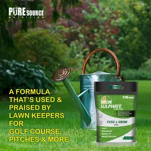 Iron Sulphate 2kg / 2000g Makes Grass Greener, Hardens Turf and Prevents Lawn Disease Makes upto 2000L & Covers upto 2000m2 by PSN