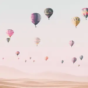 Hot Air Balloons Mural - 192x260cm - 5547-4