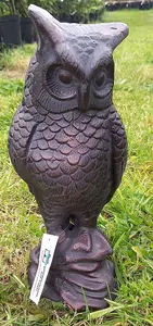 Cast Iron Long Eared Owl hand finished with an Antique Verde Bronze Finish