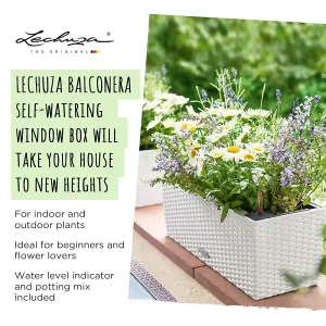 LECHUZA BALCONERA Cottage 50cm Window Box, Granite Self-watering Planter with Substrate and Water Level Indicator H19 L50 W19 cm