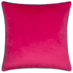 Paoletti Meridian Velvet Feather Rich Cushion