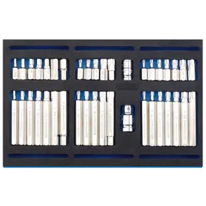 Draper Screwdriver Insert Bit Set in 1/4 Drawer EVA Insert Tray (40 Piece) 63515