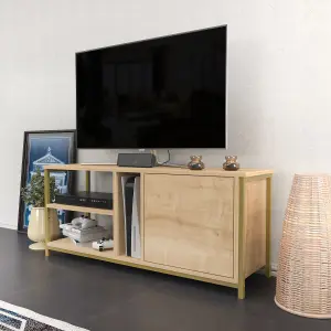 Decorotika Neola TV Stand TV Cabinet TV Unit for TVs up to 55 inches