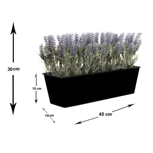 GreenBrokers Lavender Window box Tin Trough Container Planter, Black, 45cm