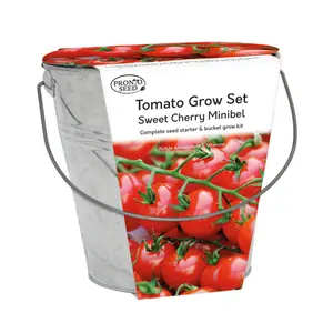 Pronto Seed Cherry Tomato Growing Kit with Bucket Planter & Tomato Seeds - Garedning Gifts for Women & Men