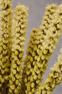 Grey Feather Stem Artificial Plant Foliage