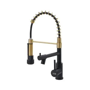 Gold Stainless Steel Side Lever Kitchen Spring Neck Faucet Dual Spouts Kitchen Tap Mixer Tap