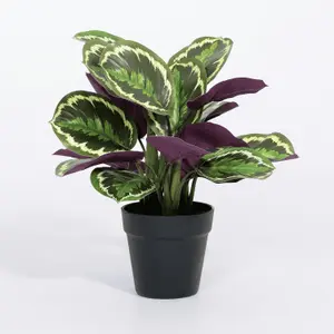 Blooming Artificial - 40cm / 1.25ft Fake Medallion Calathea