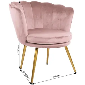 Flora Accent Chair with Petal Back Scallop Armchair in Velvet - Silver Pink