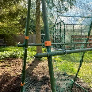 Cucumber Trellis & Pea Support Frame for Heavy Climbing Plants - 0.75m x 0.75m x 1.4m H