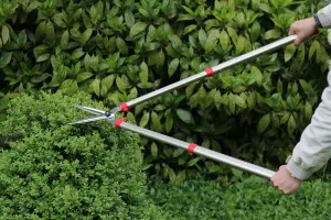 ARS K-900Z Telescopic Garden Shears