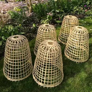 GardenSkill Bamboo Bell Cloche & Decorative Garden Plant Cover 50cm H, Pk of 5