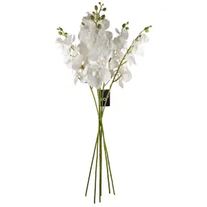 Pack of 6 x 100cm Artificial Phalaenopsis Orchid White Stem