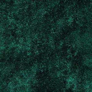 Jewel Green Shaggy Plain Modern Easy to Clean Rug for Living Room and Bedroom-120cm X 170cm