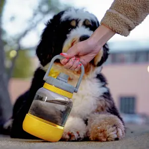 Tritan Water Bottle with Dog Bowl Mustard 1.5 Litre