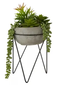 Fiori Mixed Succulent with Metal Stand Artificial Plant Foliage