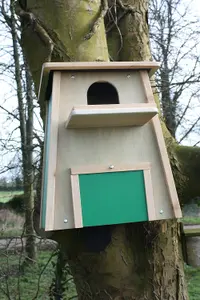 Barn Owl Box Handmade in Our UK Workshop