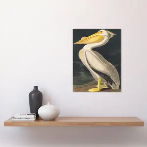 Audubon Style Vintage Detailed Pelican Bird - Print Unframed / 40.5cm H x 30.5cm W x 0.2cm D