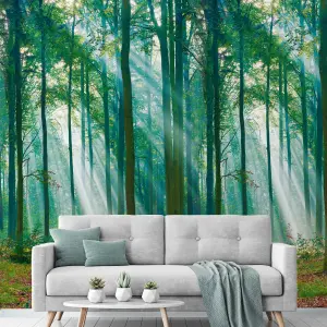 Grandeco Photographic Forest Sunlight Through Trees 3 panel repeatable mural 2.8 x 1.59m