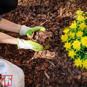 Decorative Garden Bark 2 x 80 Litre Bag - Ideal for Adding a Professional Touch to Beds Borders Containers and Ground Cover