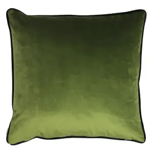 Evans Lichfield Midnight Garden Bee Velvet Piped Feather Filled Cushion