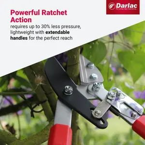 Darlac Telescopic Ratchet Lopper, DP474A