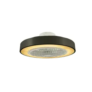 LED Ceiling Fan Light with Remote Control Adjustable Speed and Brightness in Black