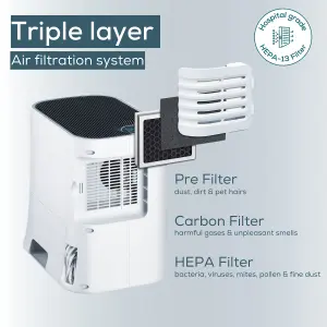 Beurer 2-in- Air Purifier and Humidifier LR330