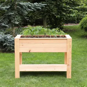 Dan Larch timber Shallow planter with self 800x400mm