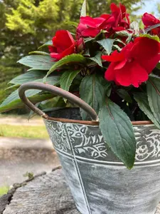 Galvanised Metal Flower Pot with Handles Outdoor Garden Planter Trough Floral Decoration