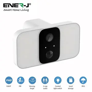 Smart Wireless Floodlight Camera