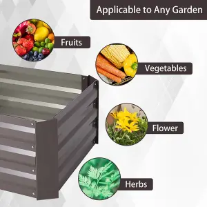 Rectangular Metal Raised Garden Bed Outdoor Raised Bed Seed Bed 100 cm W x 60 cm D