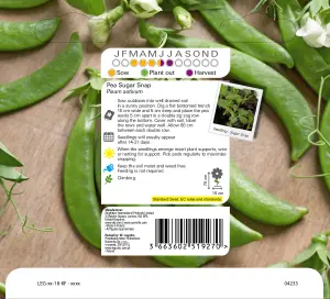 Verve 'Sugar snap pea' Vegetable Seeds