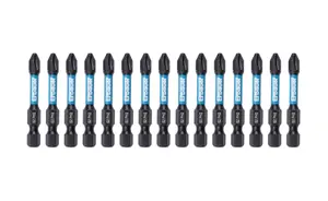 Erbauer PH2 Screwdriver bits PH2 (L)50mm, Set of 15