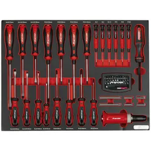 Premium 72-Piece Screwdriver Set with Tool Tray - Slotted & Philips