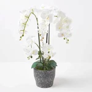 Homescapes White Orchid 82 cm Phalaenopsis in Ceramic Pot Extra Large, 4 Stems