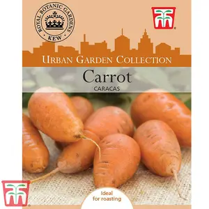 Carrot Caracas 1 Seed Packet (400 Seeds)