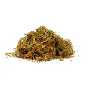 Smart Garden Bagged moss 0.57kg