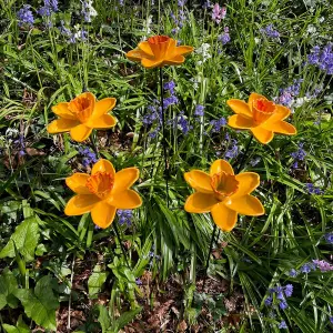 Cast Iron Daffodil Bird Feeder Flower Dish (Set of 3)