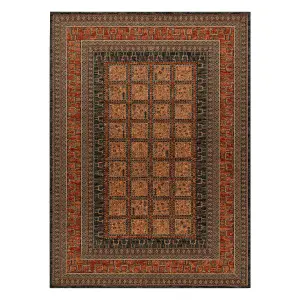 Wool carpet KASHQAI 4349 500 oriental, frame claret  160x240 cm