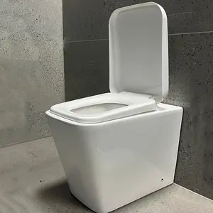 Java Ceramic Square Back to Wall Toilet Pan with Soft Closing Seat